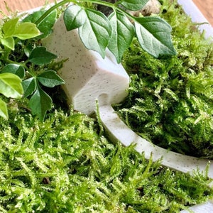 Op de afbeelding: Een wit miniatuurhuis met een getextureerd oppervlak staat op een bed van groen mos. Het huis is omringd door groene bladeren.