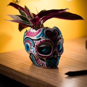 May include: A decorative skull-shaped planter in white, pink, and blue holds a plant with burgundy and green leaves. The planter has a detailed design, and sits on a wooden surface. The background is a warm yellow.