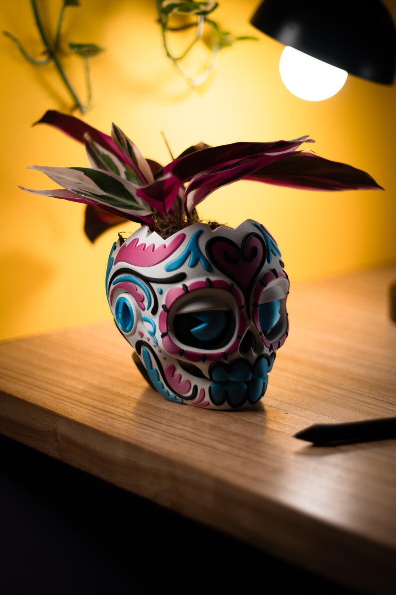 May include: A decorative skull-shaped planter in white, pink, and blue holds a plant with burgundy and green leaves. The planter has a detailed design, and sits on a wooden surface. The background is a warm yellow.