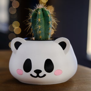 May include: A white ceramic planter shaped like a panda face with pink cheeks, holding a small green cactus.