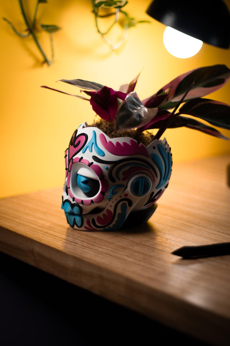 May include: A decorative skull-shaped planter, painted white with pink and blue accents, holds a houseplant with pink and green leaves. The planter sits on a wooden surface against a yellow background.