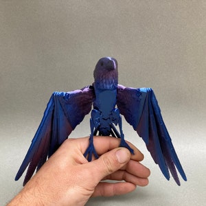 Flexi Raven Model with Skull Base image 7
