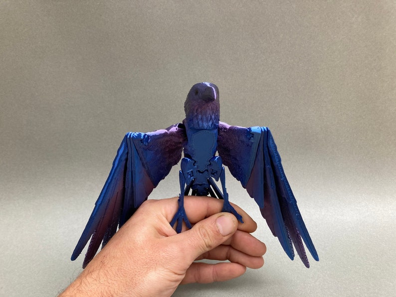 Flexi Raven Model with Skull Base image 7