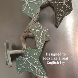 Magnetivy – Engelse klimop koelkastmagneet met scharnierende stelen, realistische plantmagneet, botanisch keukendecor afbeelding 5