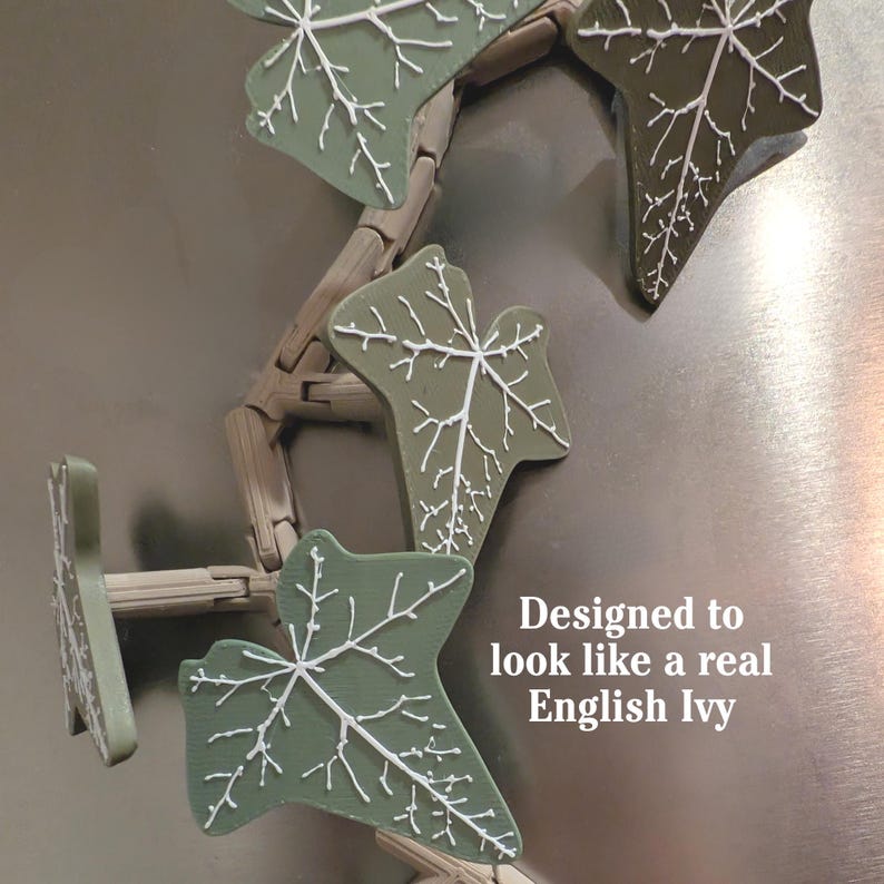 Magnetivy – Engelse klimop koelkastmagneet met scharnierende stelen, realistische plantmagneet, botanisch keukendecor afbeelding 5