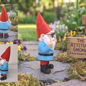 Funny Garden Gnome with Middle Fingers - Rude Lawn Ornament - Sassy Gnome Outdoor Statue - Offensive Garden Decor image 2