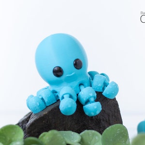 May include: A blue baby octopus toy with black eyes and a small smile. The octopus is sitting on a black rock with green leaves in the foreground. The text "Baby Octopus" is in the upper right corner of the image.