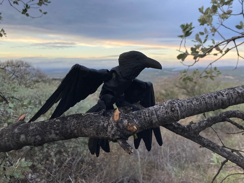 Flexi Raven Model with Skull Base image 3