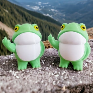 Middle Finger Frog - Multi-coloured Print