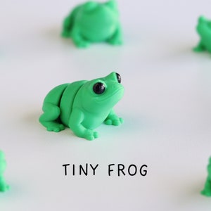 Op de afbeelding: Een verzameling kleine, felgroene kikkerbeeldjes met zwarte ogen. De tekst "TINY FROG" wordt in zwarte letters onder de kikkers weergegeven. De kikkers zijn gerangschikt op een witte ondergrond.
