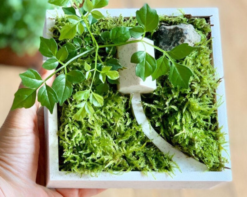 Zen Planter v2 afbeelding 3