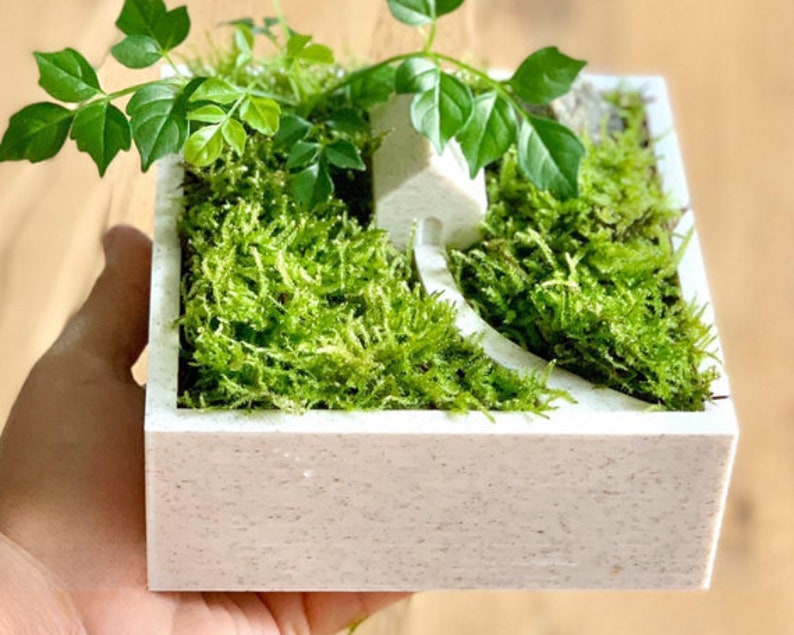 Op de afbeelding: Een kleine witte plantenbak met een miniatuurhuisje en groen mos erin. De plantenbak is gemaakt van een getextureerd materiaal en heeft een vierkante vorm.