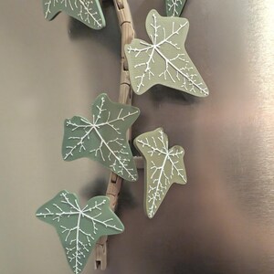 Magnetivy – Engelse klimop koelkastmagneet met scharnierende stelen, realistische plantmagneet, botanisch keukendecor afbeelding 7