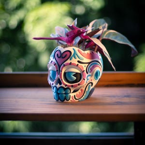 May include: A decorative skull-shaped planter with a colorful design, holding a small plant with pink and green leaves. The planter features blue, pink, and white accents. It sits on a wooden surface.