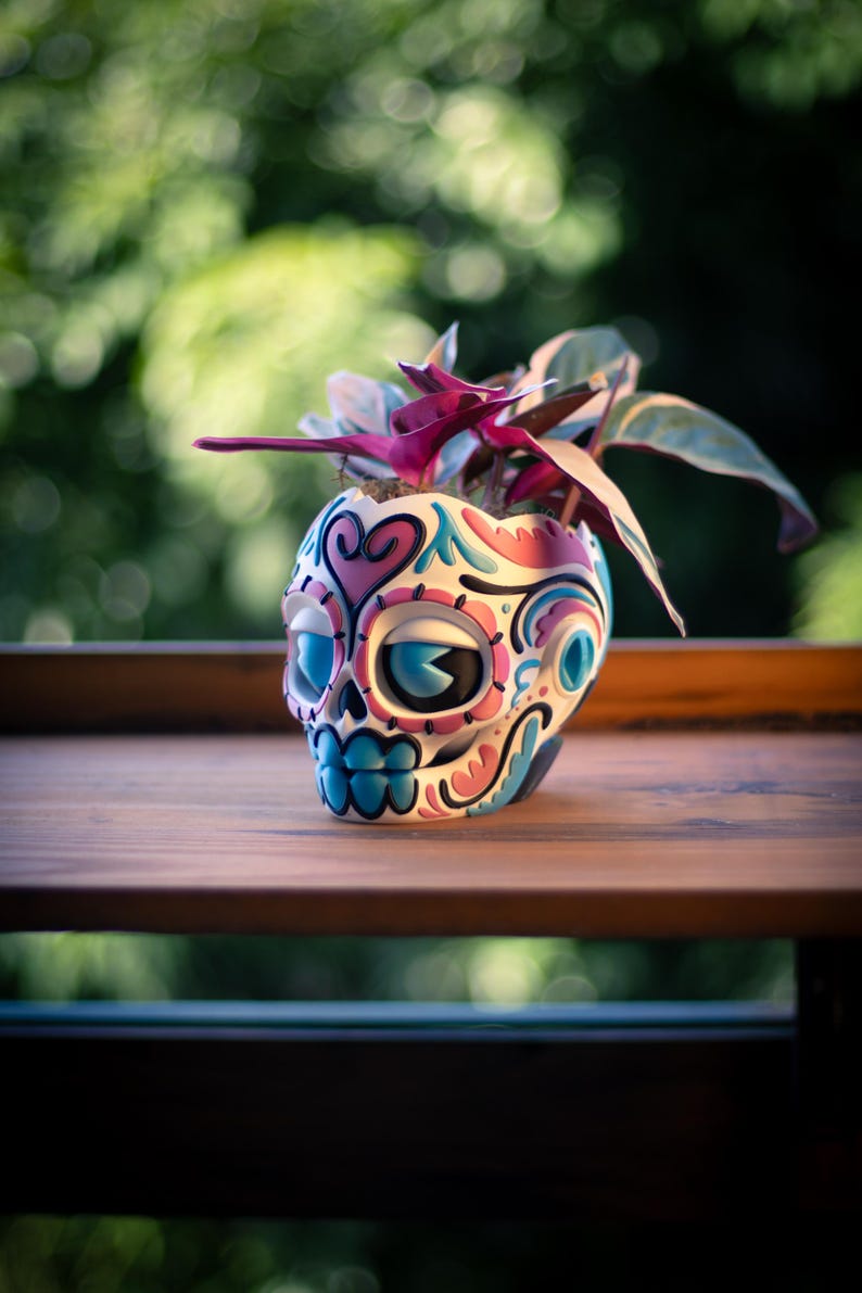 May include: A decorative skull-shaped planter with a colorful design, holding a small plant with pink and green leaves. The planter features blue, pink, and white accents. It sits on a wooden surface.
