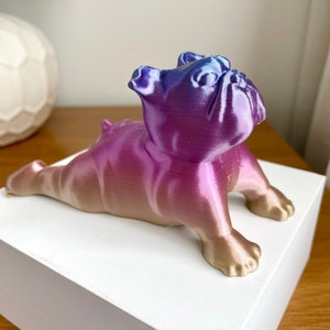 Bulldogge Yoga Pose Home Decor Bild 7