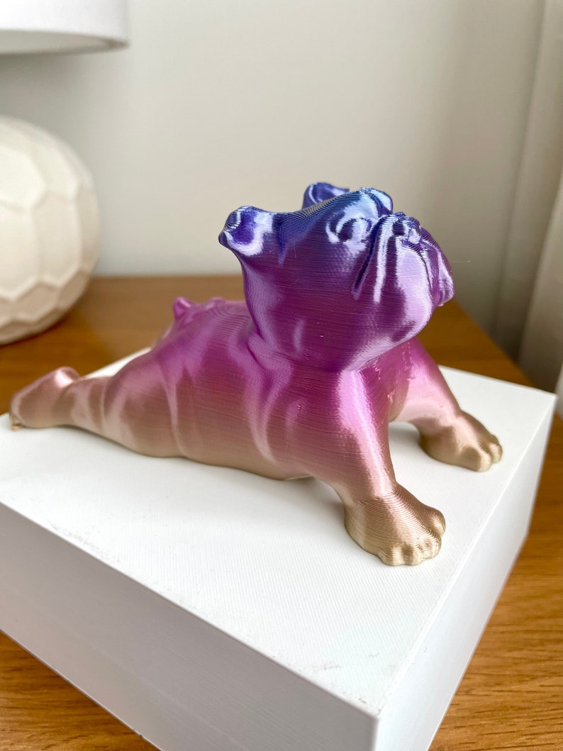 Bulldogge Yoga Pose Home Decor Bild 7