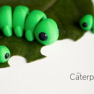 Puede incluir: Primer plano de varias figuras de orugas verde brillante con ojos negros, posadas sobre una hoja verde con una mordida. El texto "Baby Caterpillar" est&aacute; escrito en una fuente delicada en la parte inferior derecha.