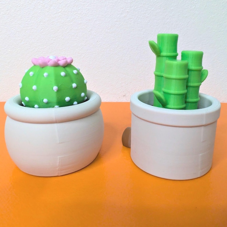 May include: Two small, white ceramic pots, one with a green cactus and pink flower, the other with green bamboo stalks. The cactus has white dots. The pots sit on an orange surface.