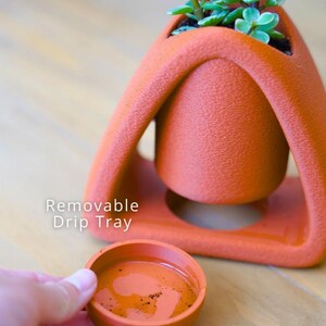 May include: An orange-colored planter with a unique, arched design, holding a small succulent plant. The planter has a removable drip tray. The text "Removable Drip Tray" is visible on the image.