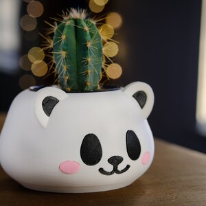 May include: A white ceramic planter shaped like a panda face with black eyes and a pink nose, holding a small green cactus.