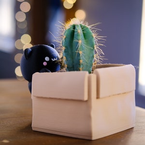 May include: A black cat figurine peeking out from a beige cardboard planter with a green cactus inside.