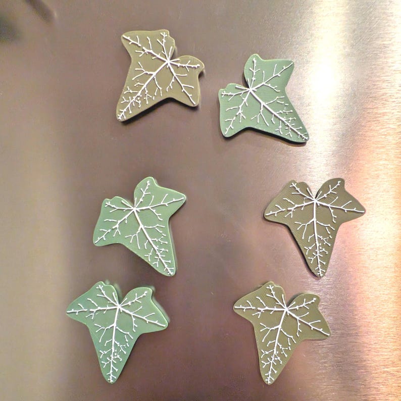 Magnetivy – Engelse klimop koelkastmagneet met scharnierende stelen, realistische plantmagneet, botanisch keukendecor afbeelding 6