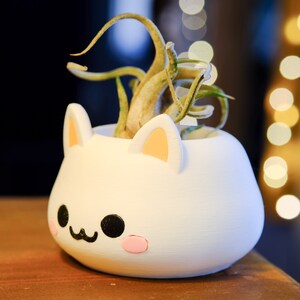 May include: White ceramic planter shaped like a cat with a small air plant growing inside. The planter has black eyes, a pink nose, and a pink blush on its cheeks.