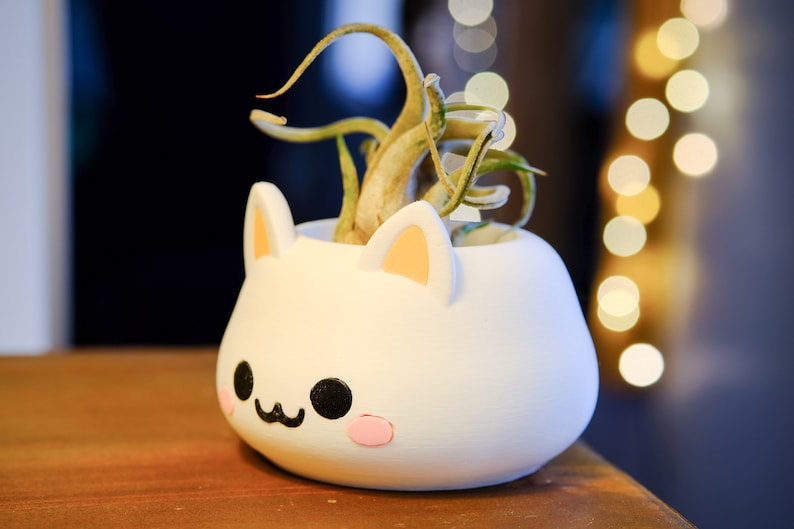 May include: White ceramic planter shaped like a cat with a small air plant growing inside. The planter has black eyes, a pink nose, and a pink blush on its cheeks.