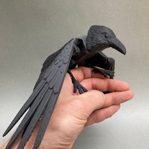 Flexi Raven Model with Skull Base image 6