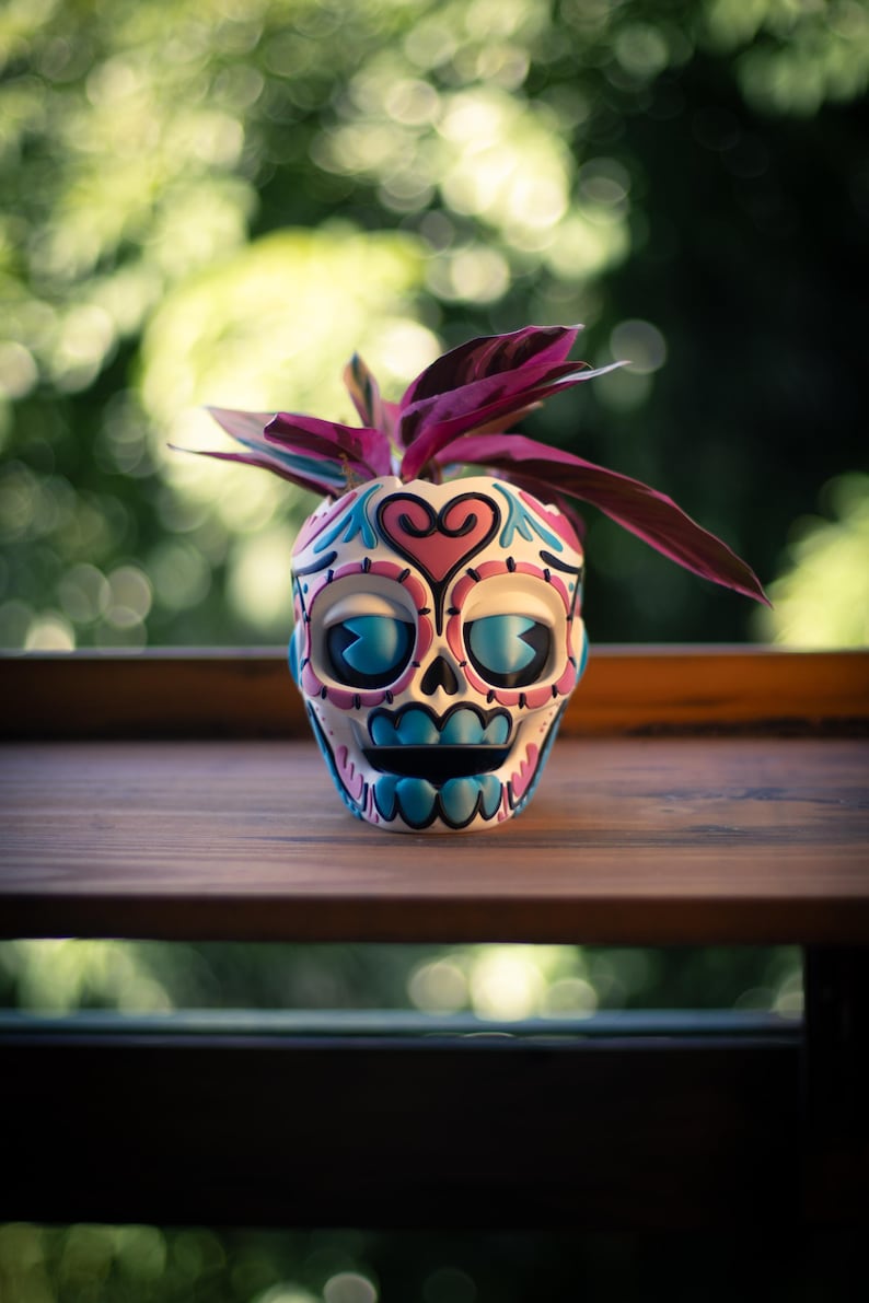 May include: A decorative skull-shaped planter with a colorful design, featuring pink, blue, and black accents. The planter holds a small plant with deep purple leaves. The planter sits on a wooden surface with a blurred green background.