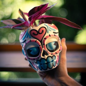 May include: A decorative skull-shaped planter with a colorful design, holding a small plant with dark pink leaves. The skull is white with pink, blue, and black accents. The planter is held in a hand against a blurred green background.