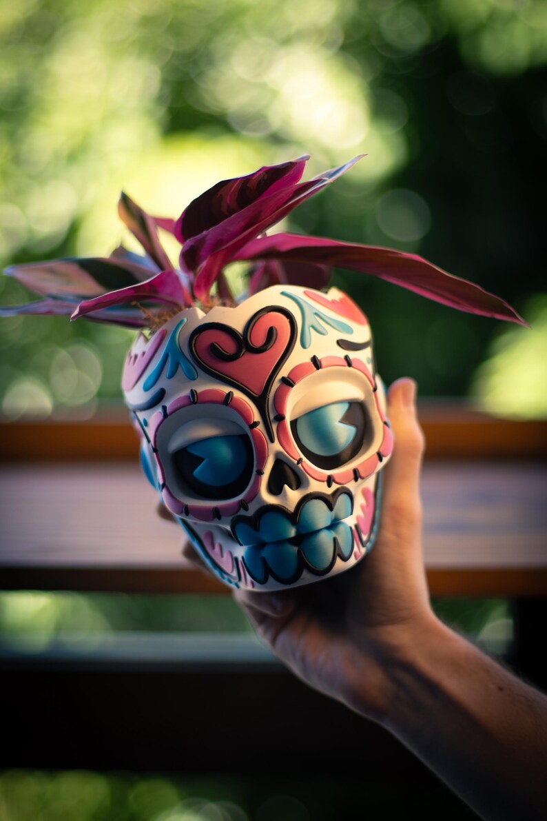 May include: A decorative skull-shaped planter with a colorful design, holding a small plant with dark pink leaves. The skull is white with pink, blue, and black accents. The planter is held in a hand against a blurred green background.