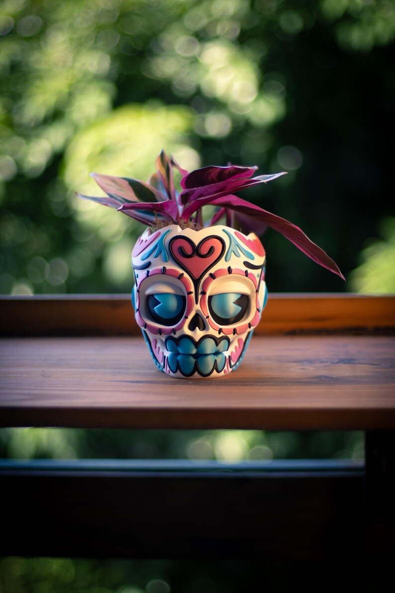 May include: A decorative skull-shaped planter with a colorful design, holding a plant with purple and green leaves. The planter features blue, pink, and white accents. The planter is sitting on a wooden surface.