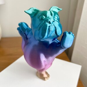 Bulldogge Yoga Pose Home Decor Bild 6