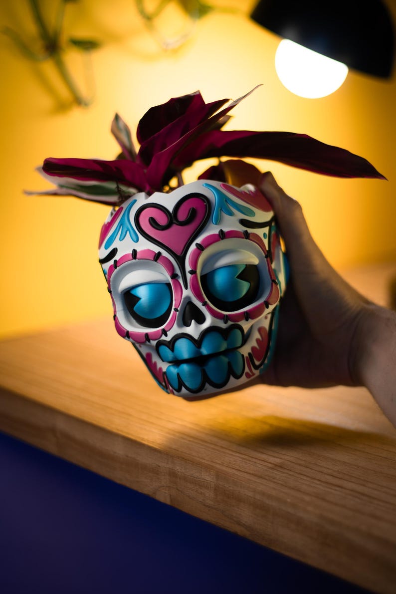 May include: A decorative skull-shaped planter with a white base, adorned with pink, blue, and black details. The planter features large blue eyes and a heart design. It holds a plant with dark red leaves, creating a unique decorative piece.