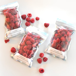 Fresh Freeze Dried Raspberry Snack Pack