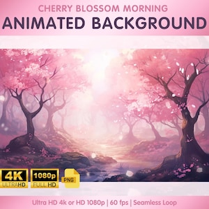 Pink Cherry Blossom Animated Background - Twitch Streamers, Vtubers, Zoom Backgrounds, 4k Desktop Wallpaper - Cherry Blossom Morning