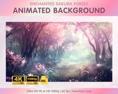 Pink Cherry Blossom Animated Background - Twitch Streamers, Vtubers, Zoom Backgrounds, 4k Desktop Wallpaper - Enchanted Sakura Forest