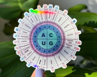 Codon Wheel Sticker | Holographic Science Sticker | Genetic Code Table Molecular Biology Genetics Amino Acid | Biochemistry | Proteins