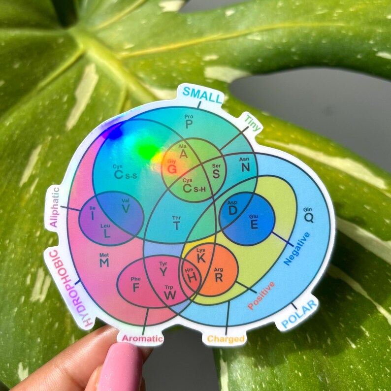 Amino Acid Properties Venn Diagram Sticker | Holographic Science Sticker | Genetic Code Table Protein Chemist | Biology Biochemistry bild 3