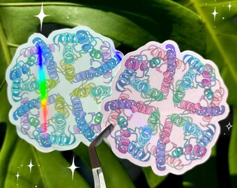 Aquaporin Tetramer Protein Structure Single Sticker Biochemistry | Holographic Science Sticker | Molecular Biology Chemistry DNA