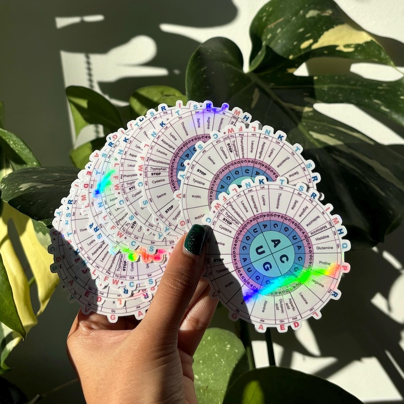 Codon Wheel Sticker | Holographic Science Sticker | Genetic Code Table ...