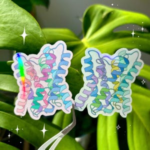 May include: Two iridescent stickers featuring a colorful, abstract, 3D protein structure. The stickers are on a green leafy background.