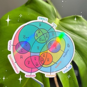 May include: A colourful infographic chart with overlapping circles showing the properties of amino acids. The chart is labelled with terms like "Small", "Tiny", "Aliphatic", "Hydrophobic", "Aromatic", "Charged", "Polar", "Positive", and "Negative".