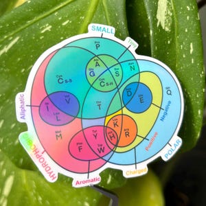 Amino Acid Properties Venn Diagram Sticker | Holographic Science Sticker | Genetic Code Table Protein Chemist | Biology Biochemistry bild 4