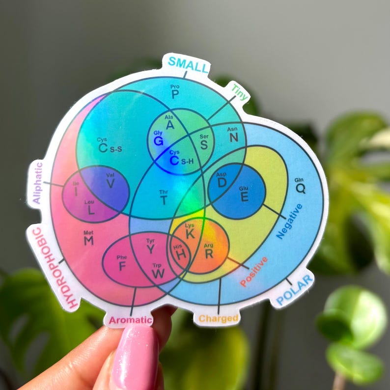Amino Acid Properties Venn Diagram Sticker | Holographic Science Sticker | Genetic Code Table Protein Chemist | Biology Biochemistry bild 5