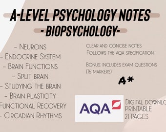 A-level Psychology Notes (Biopsychology)