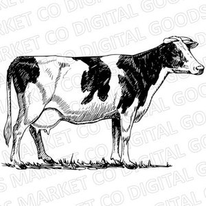 Cow PNG - Farm Animal SVG - Cow Digital Download