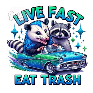 Live Fast Eat Trash PNG, Funny Opossum Clipart, Stay Trashy Png, Raccoon Png, Funny Raccoon PNG, Sublimation Design, Digital Download PNG